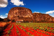 Vinales © gocubago